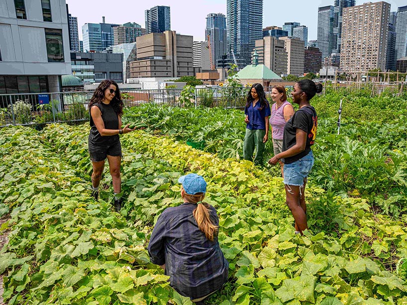 Community members stand among a lush green rooftop garden with tall buildings around them.