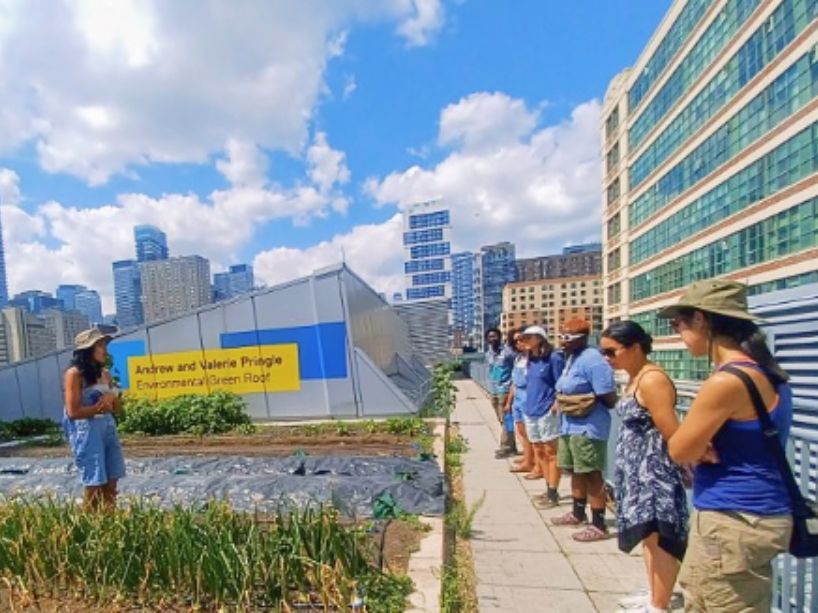 A group of people gathered on a rooftop farm, attentively listening to a tour guide, with the city skyline stretching out in the background.