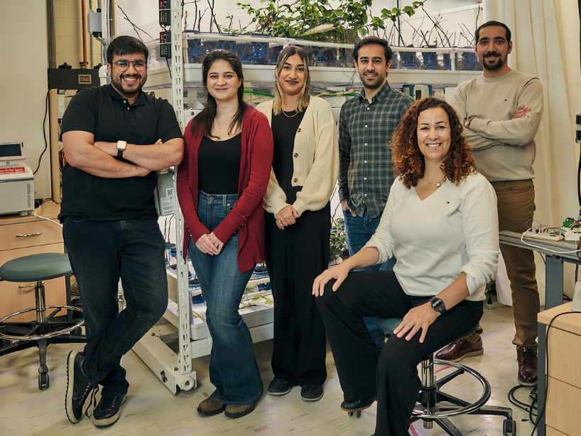 Ahmed Sarwar, Georgia Jovanovic, Simran Kaur, Hassan Sarailoo, and Parham Jafary, students at TMU, standing and posing with Habiba sitting on a chair.