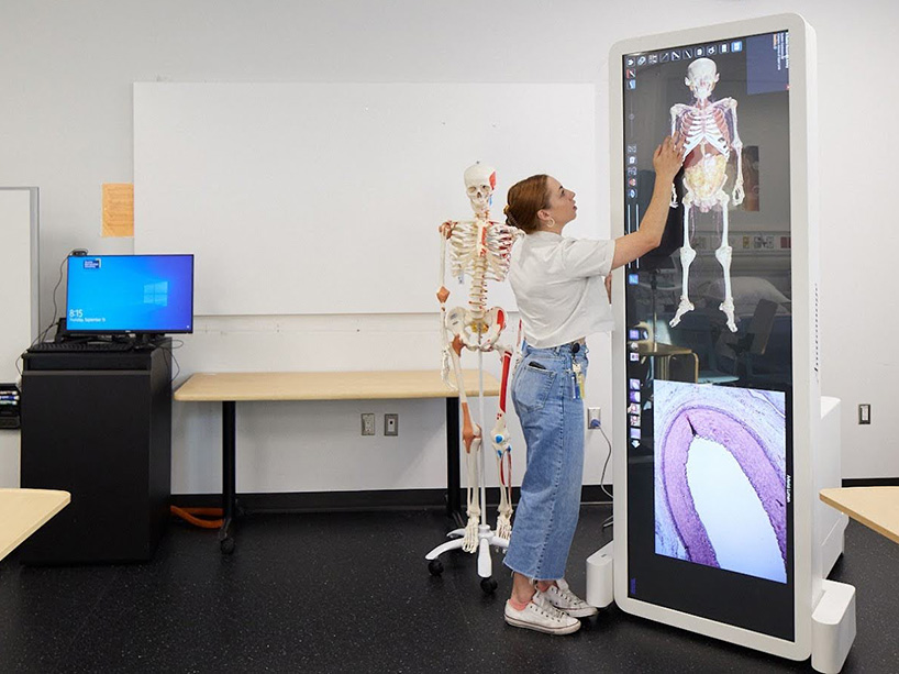  A woman uses a life-size digital screen to view images of a human skeleton.