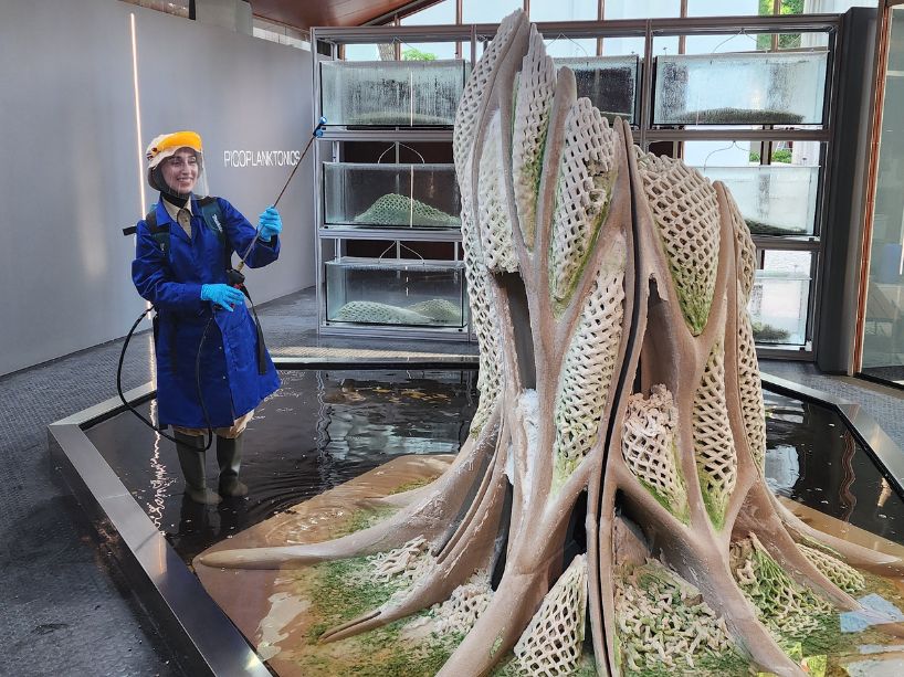 Allataifei, wearing lab equipment, standing beside the Picoplanktonics structure. 