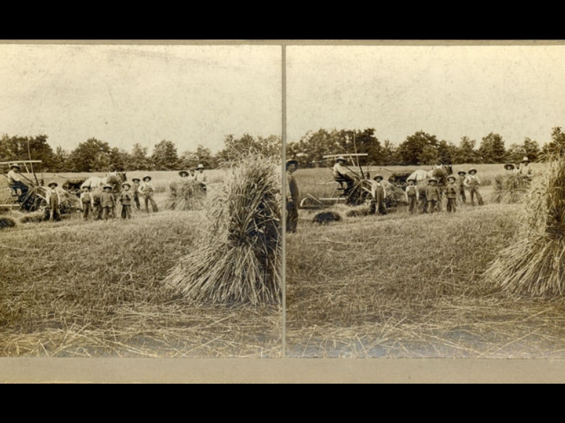 An archival image of young boys working in a field.