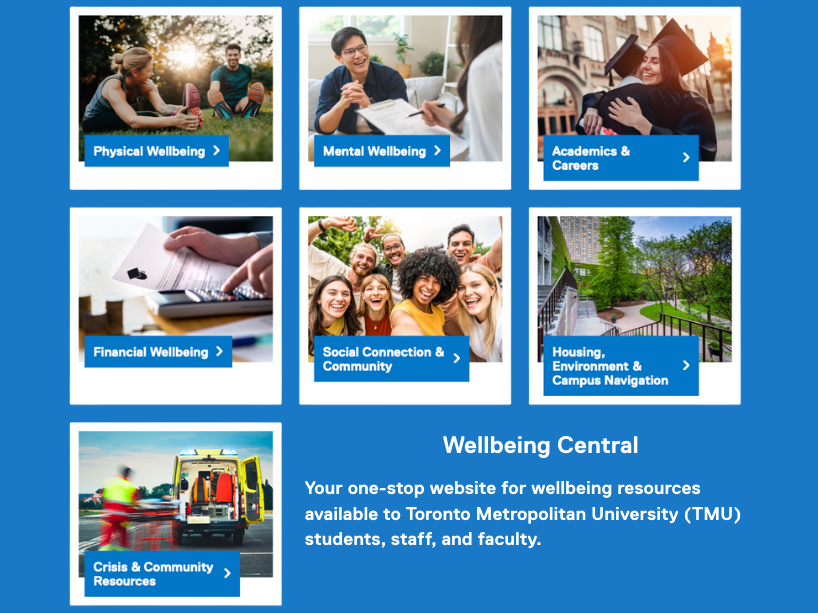  A screenshot of the Wellbeing Central page.