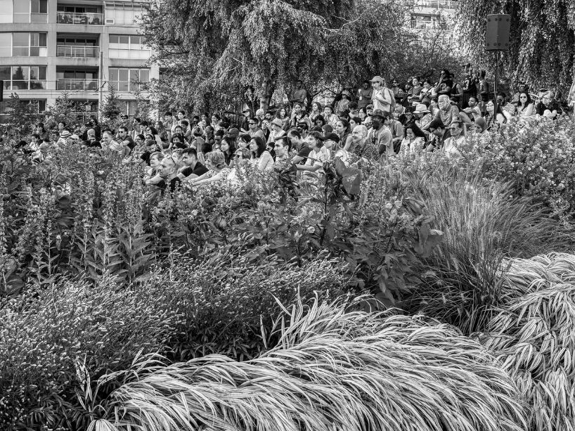 Concertgoers sitting amongst the foliage at the Toronto Music Garden. 