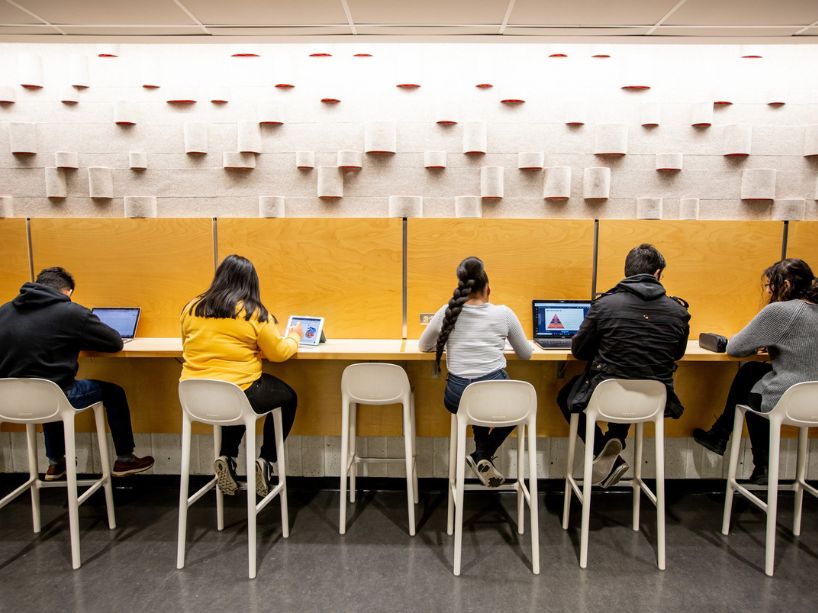 Students working in the Library. 