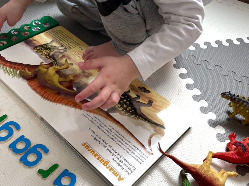 Child uses dinosaur toys, books and alphabet letters to engage in their natural curiosity about prehistoric creatures.