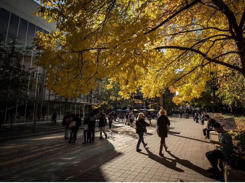 The university campus in the fall.