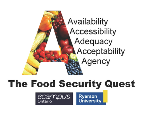 Food Security Quest Logo is a big letter A that stands for Availability, Accessibility, Adequacy, Acceptability, Agency.