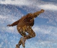 A move still features multiple layers images: leaves on the ground, the sky with a few clouds, the back of a dancer as they jump.