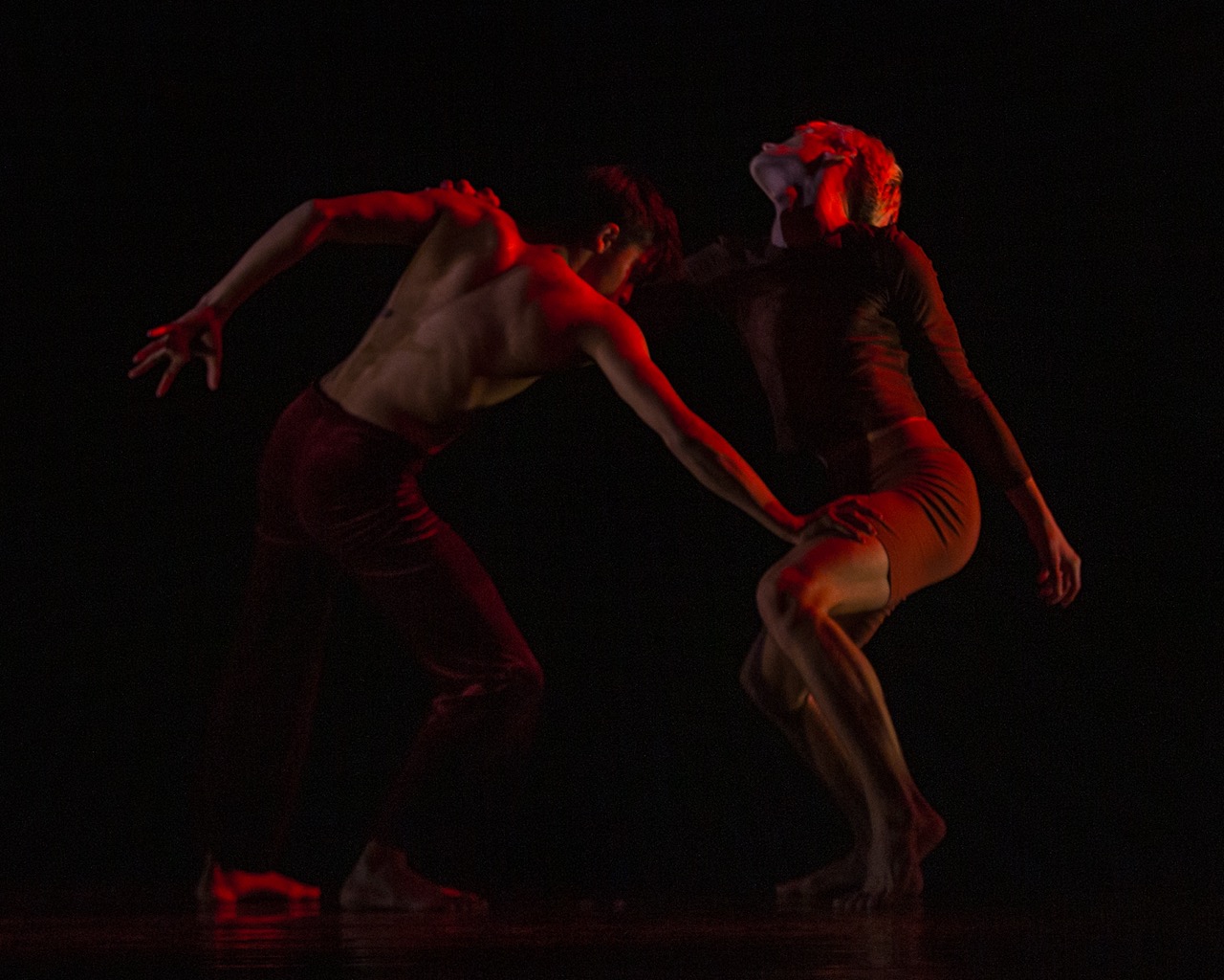 two dancers are in a dramatic pose holding eachother, they are darkly lit but a red light glints on their skin