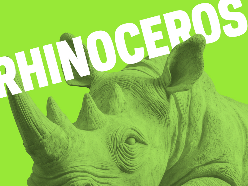 Rhinoceros