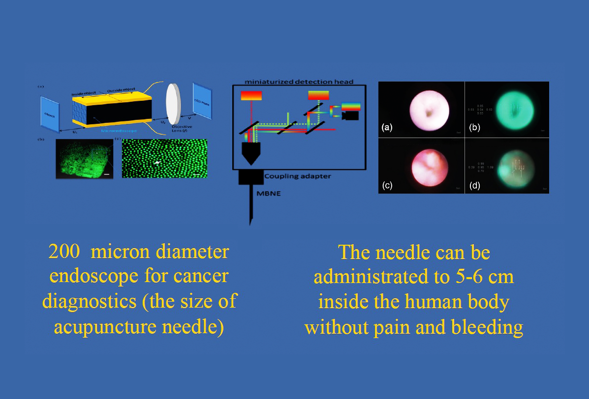 Interstitial Needle Microendoscopy (Color Image, Fluorescence, RAMAN): Mosquito Bite Needle Endoscopy (MBNE)