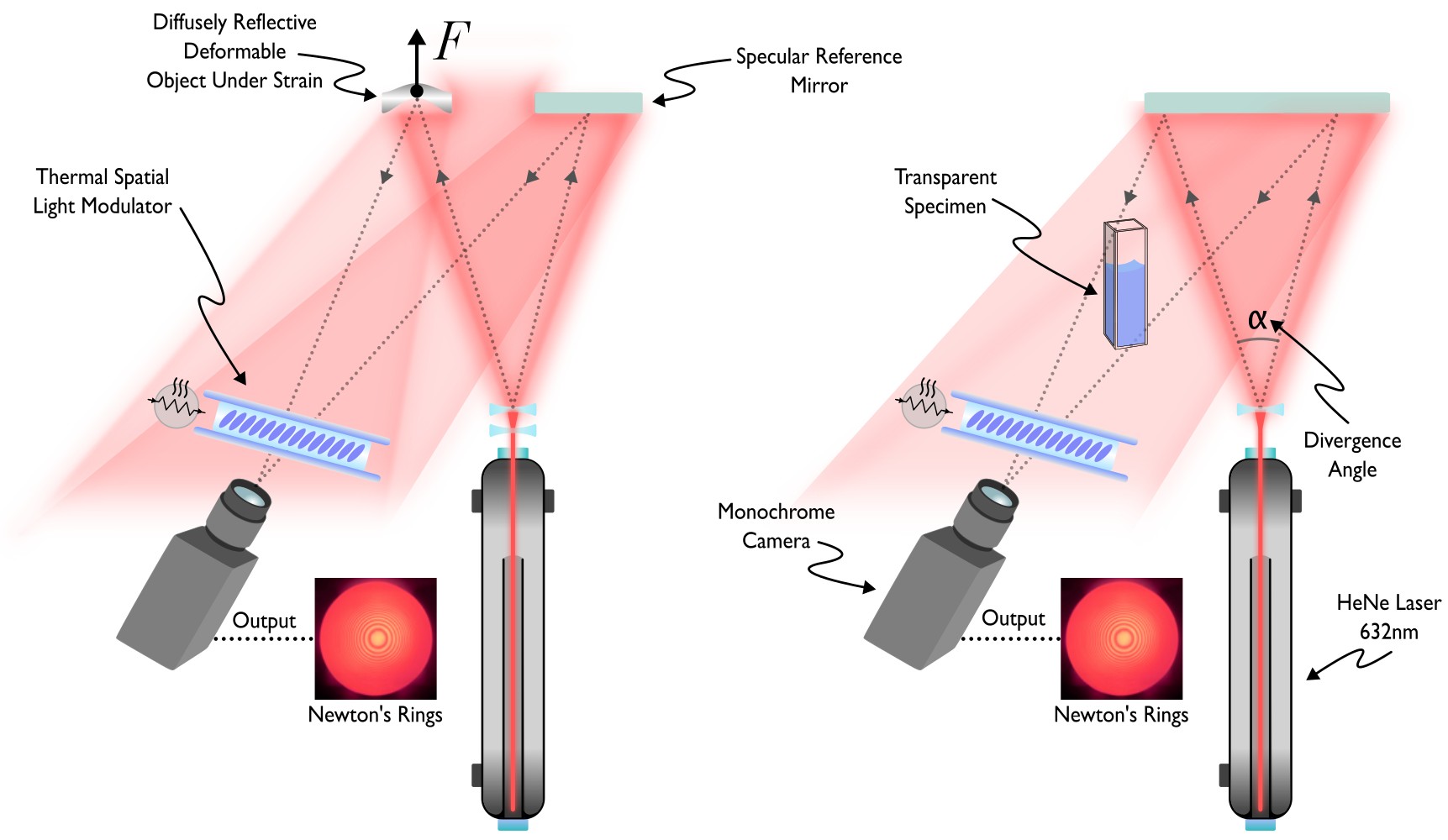 Diagrams showing the use cases of holographic interferometry: sensing deformation and salinity. 