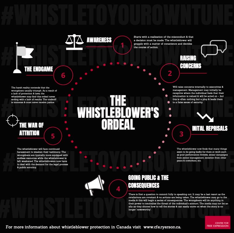 the whistleblower's ordeal infographic