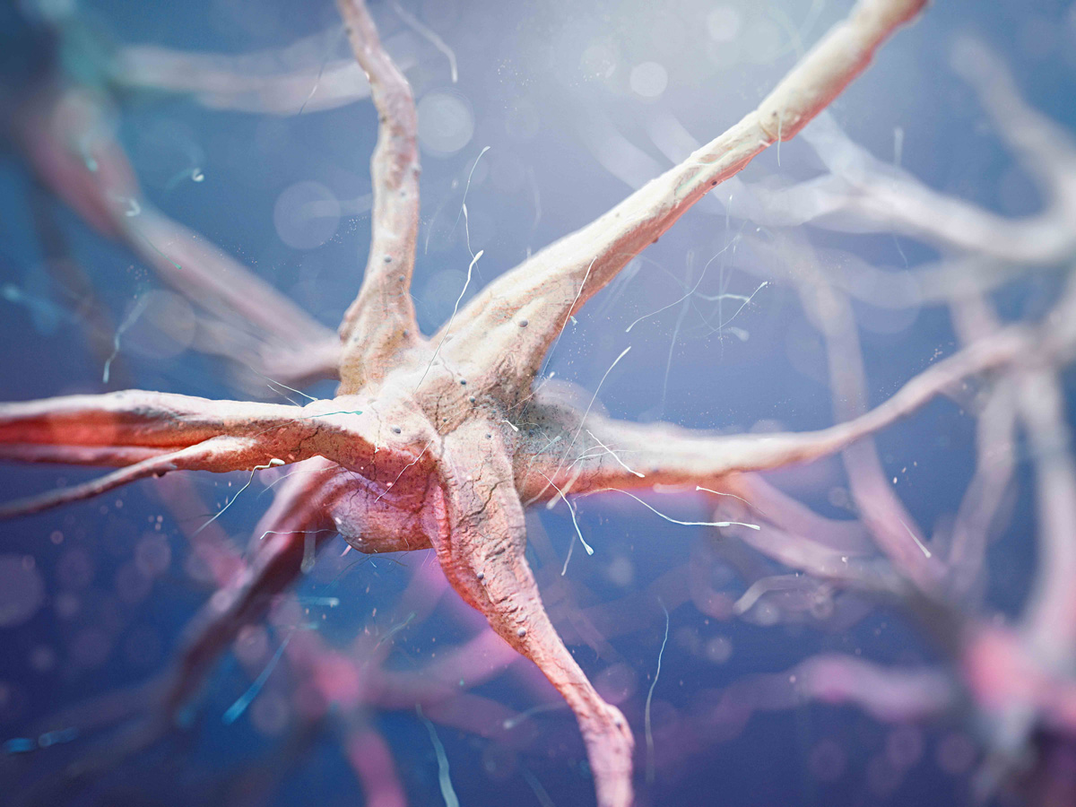 The Power of Your Psychology Degree Psychology Toronto Metropolitan