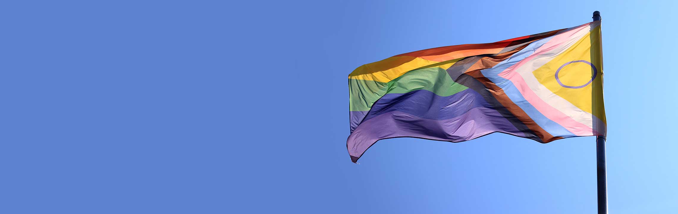 Intersex-Progress Pride Flag.