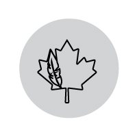 Icon with maple leaf and feather