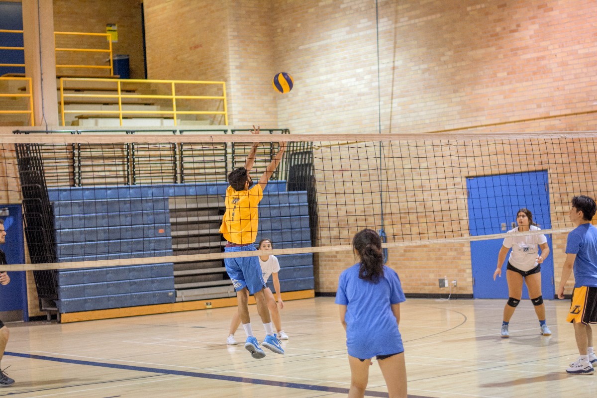 A player jumps high to reach the volleyball during a Commuters Cup intramural game in Kerr Hall Upper Gym. 