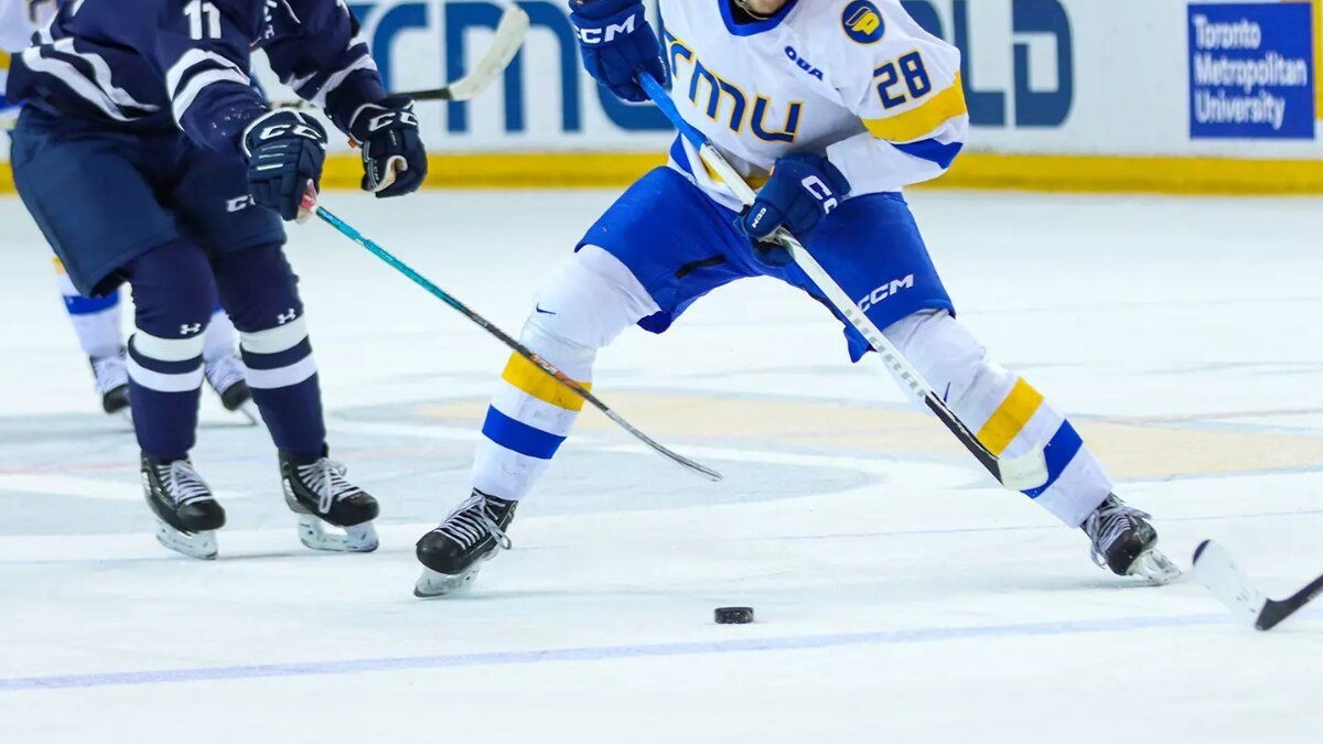 Untitled design - 87