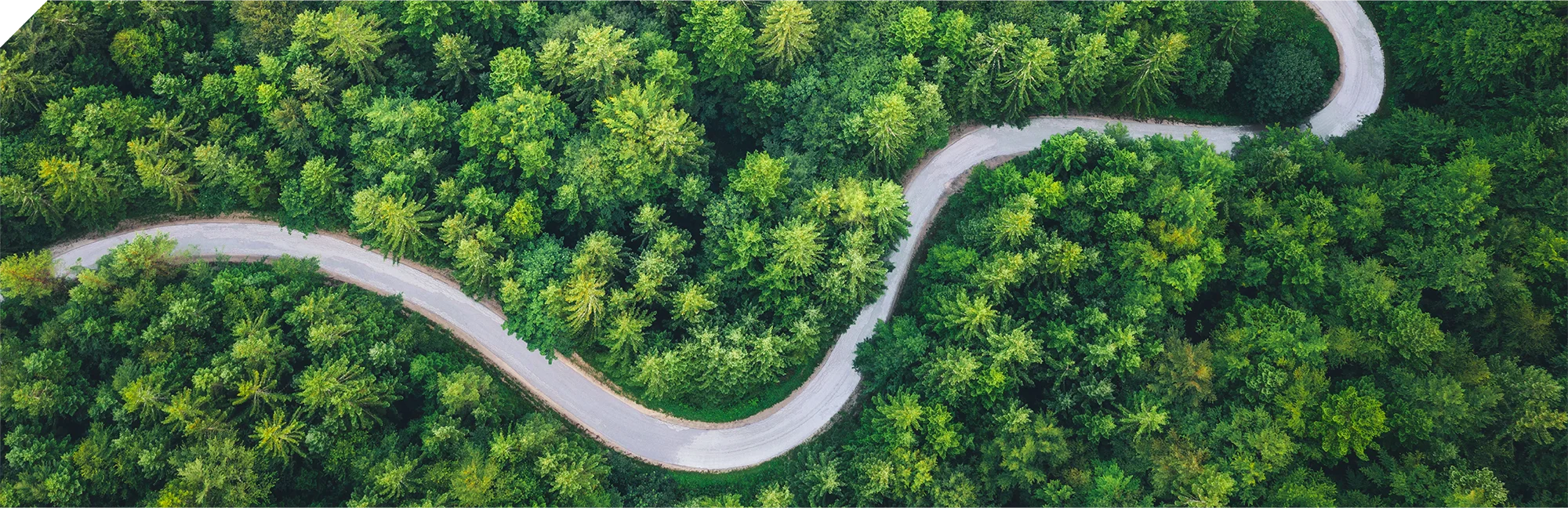Aerial view of a road weaving through dense forest