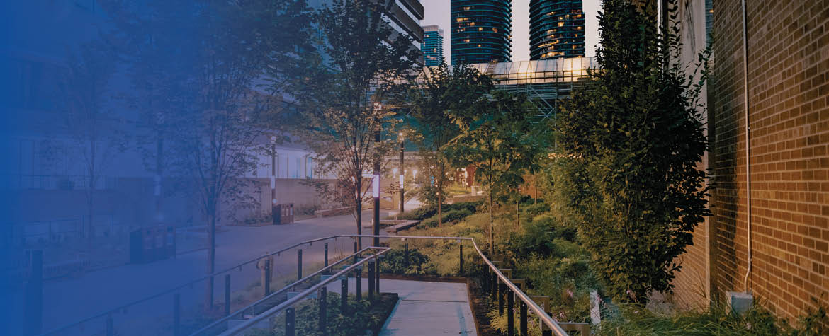 A scene of green trees and bushes against a brick building and high rises on Ryerson’s campus. 