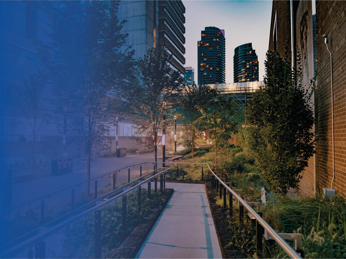 A scene of green trees and bushes against a brick building and high rises on Ryerson’s campus. 