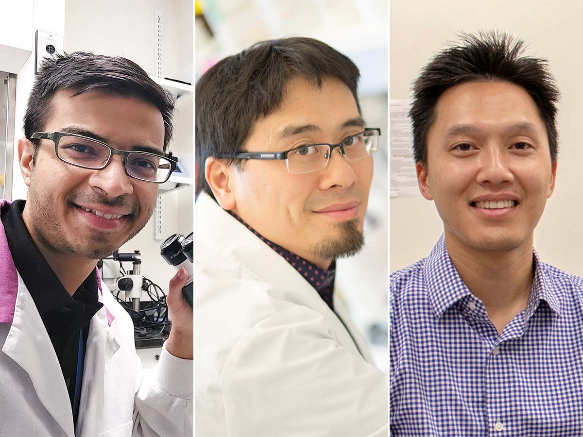 Three male researchers from the Institute of Biomedical Engineering, Science and Technology (iBEST) sit in laboratories with microscopes looking at the camera. They are from left to right, Kushal Joshi, Dr. Warren Lee and Scott Tsai.