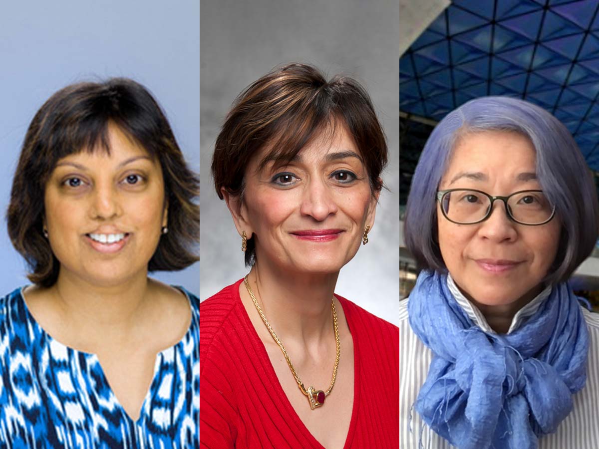 Professors Suzanne Fredericks, Mandana Vahabi and Josephine Wong 