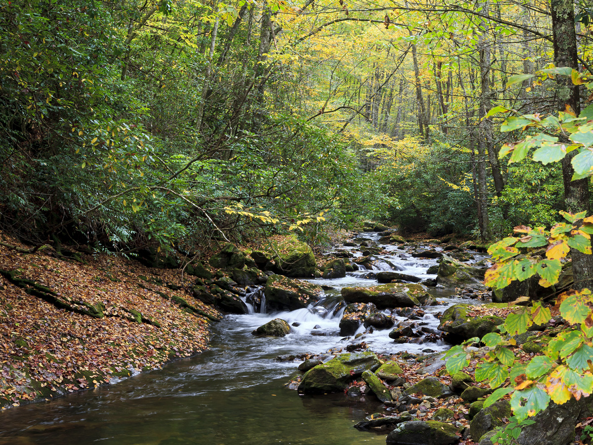 A creek running through a valley in rural Ontario