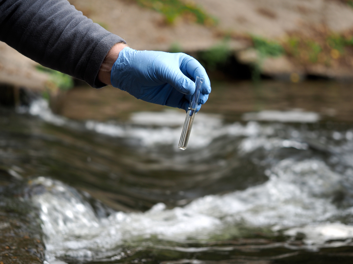 A globe hand takes a water sample from a creek using a test tube