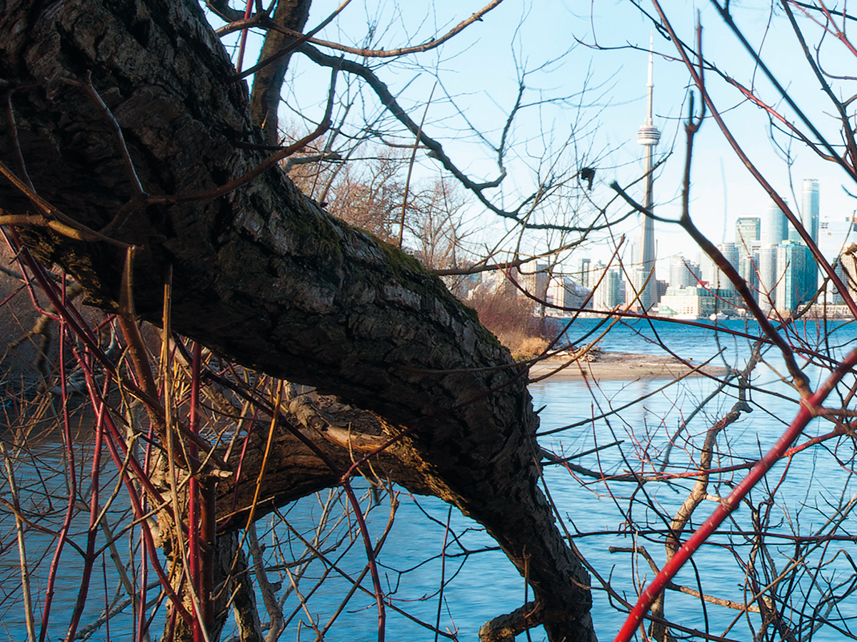 View of downtown from Wardâs Island, Toronto Islands