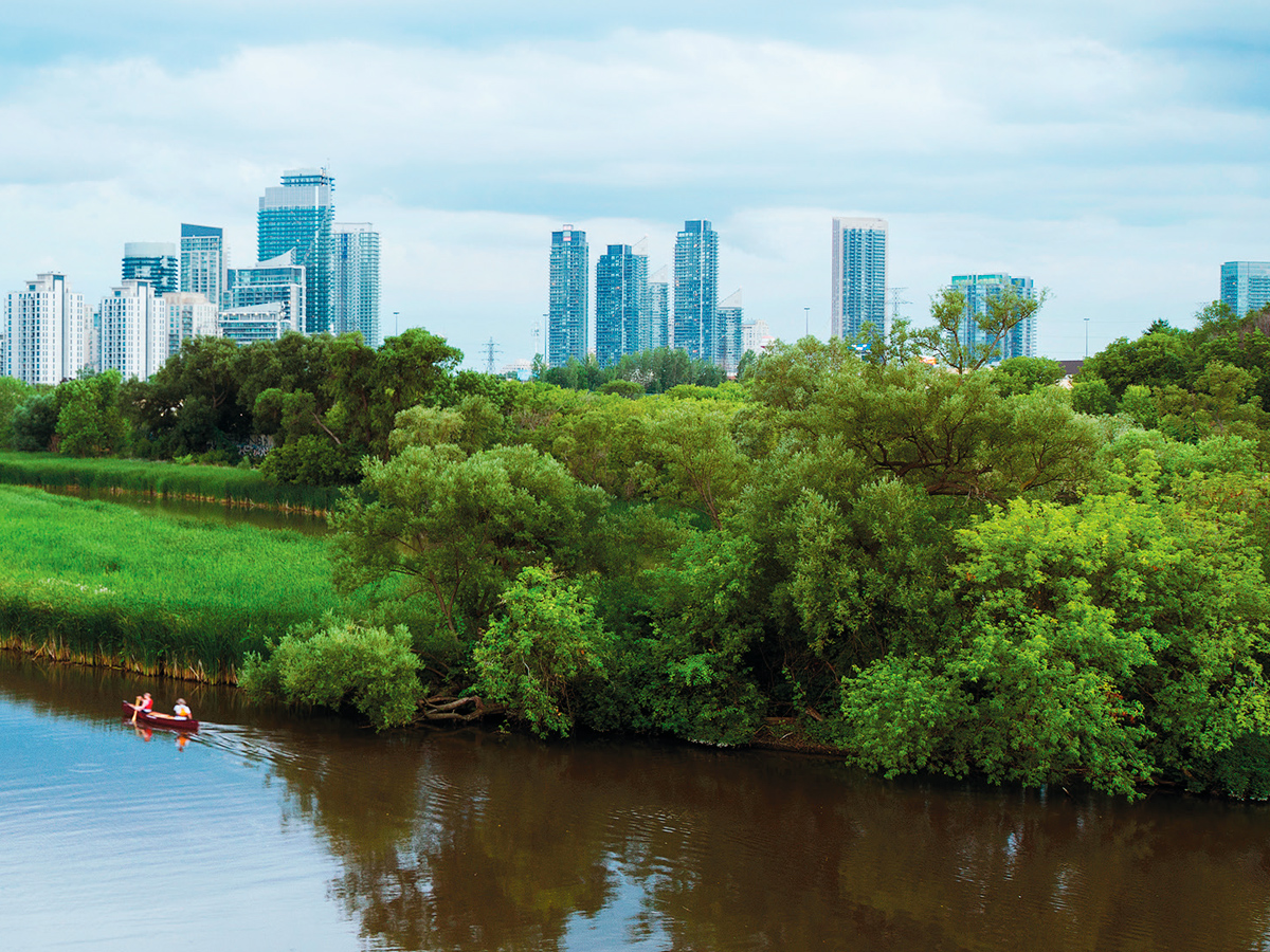 Humber marshes at the mouth of the Humber River