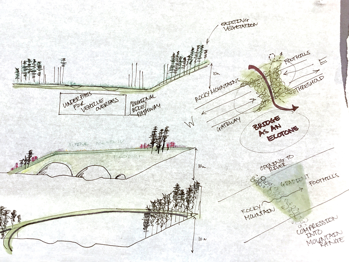 A hand drawn mock up of potential designs for a grass-covered overpass, permitting wildlife to cross a road