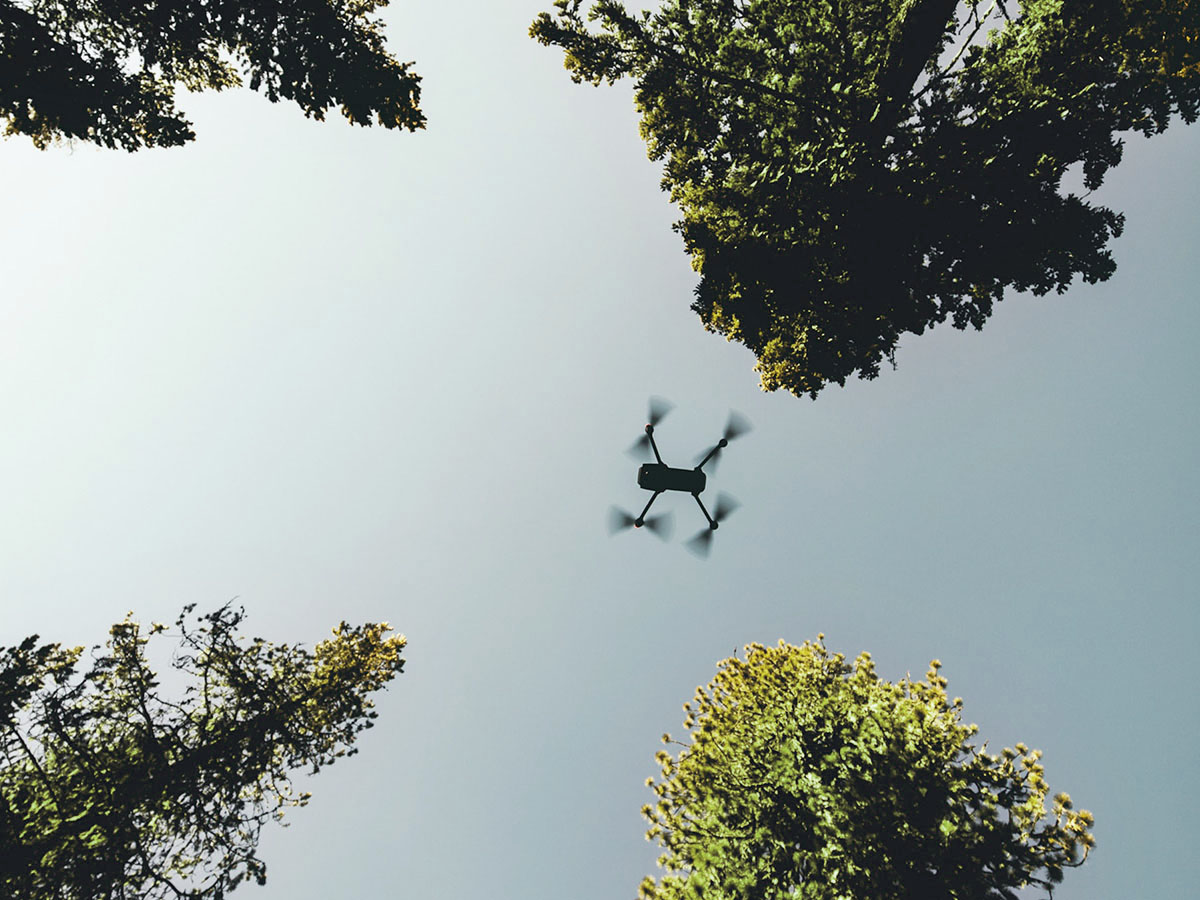 A single drone flies through a forest