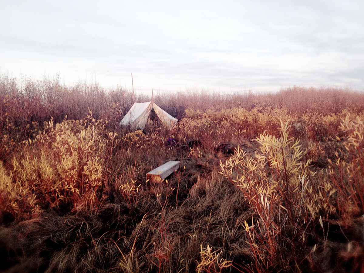 A tent in the grasslands of Canada's north