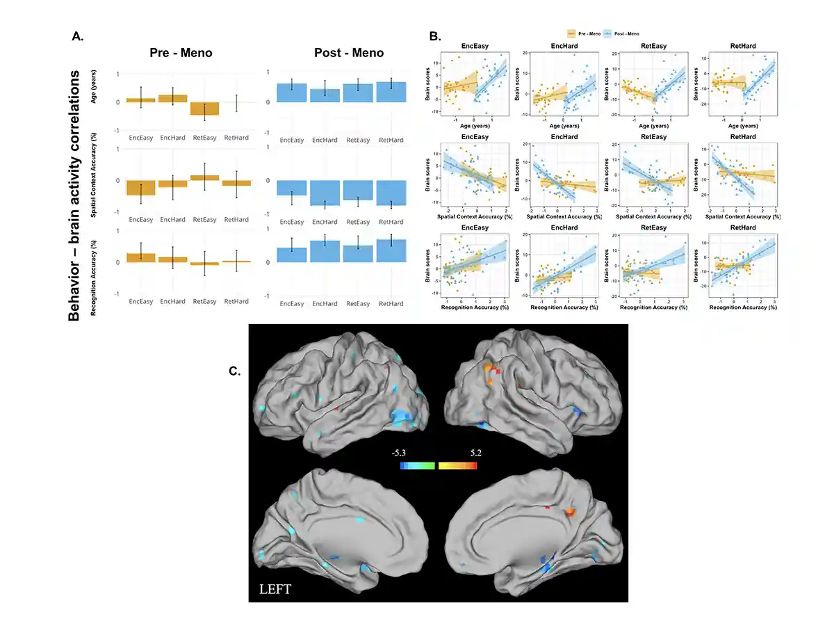 MRI brain scans showing brain activity alongside a series of charts and graphs of data sets from MRI scans.