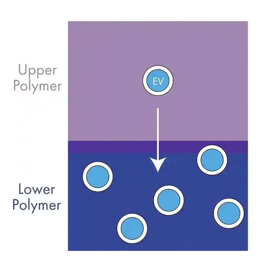 An illustration of six blue circles that represent extracellular vesicles during isolation shows they naturally move to the state of lowest energy