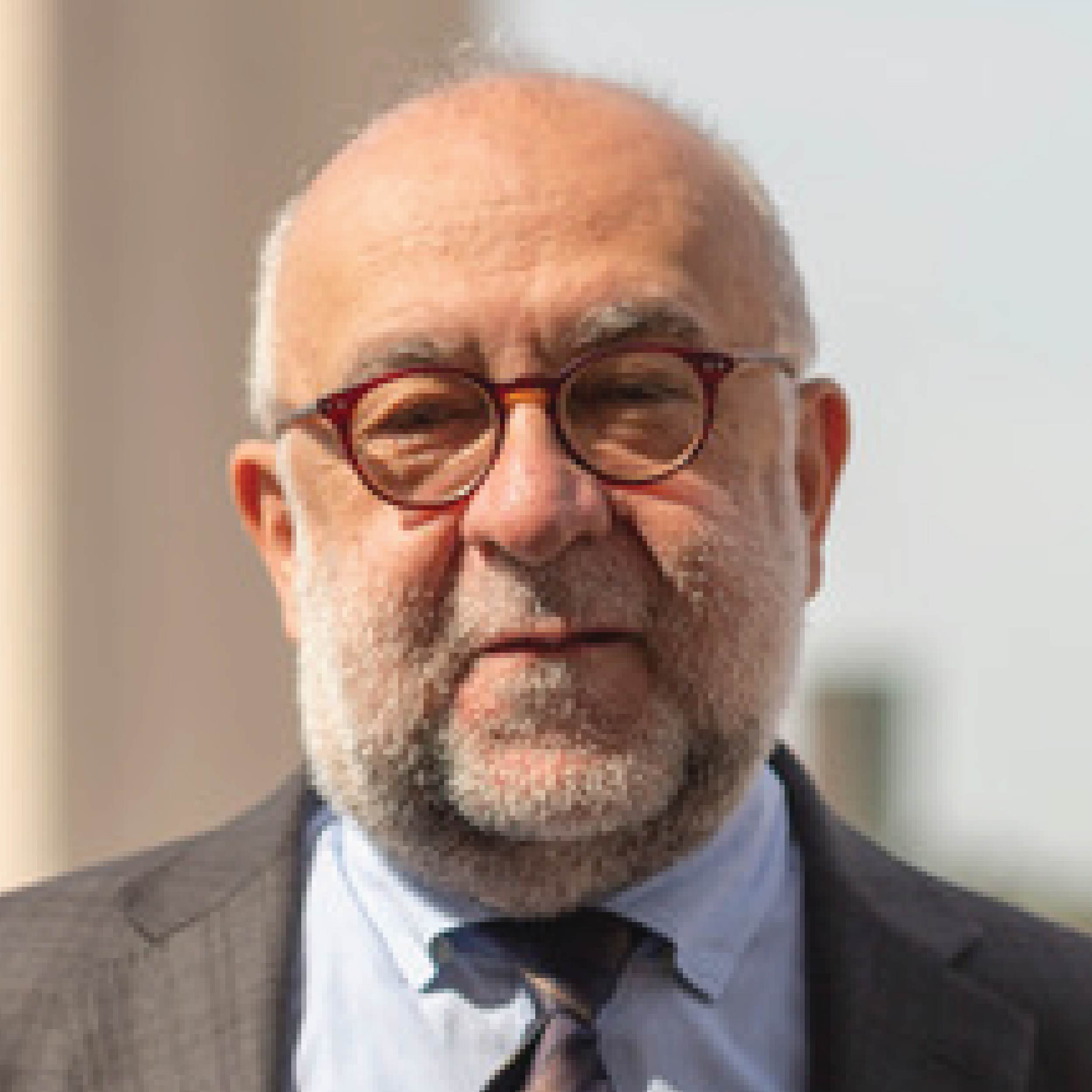 Portrait of Ahmet İçduygu