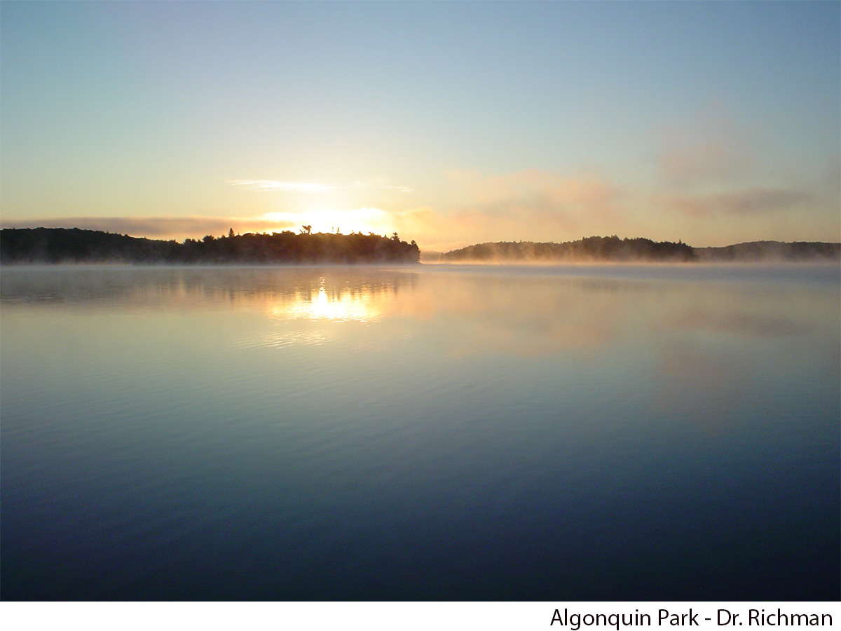 dr. richman's photography