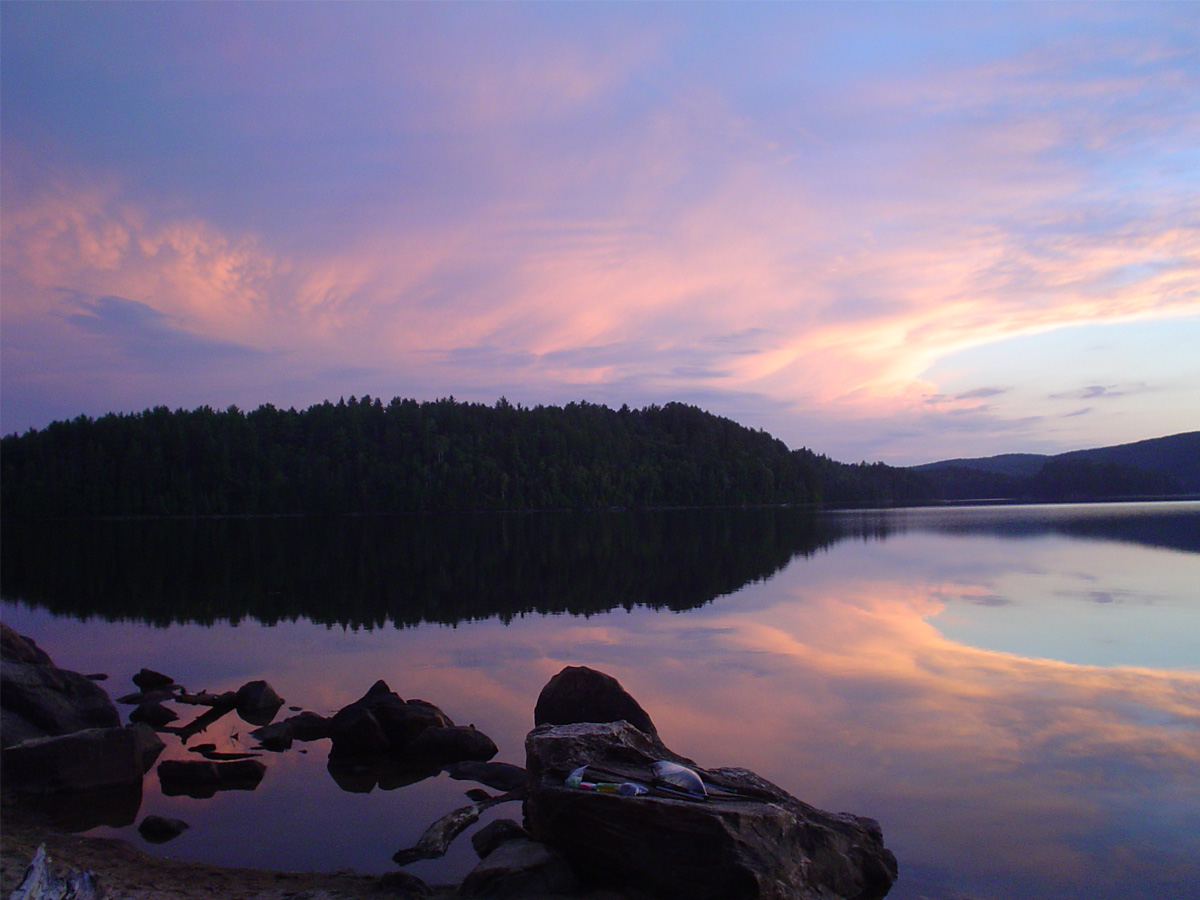 dr. richman's photography