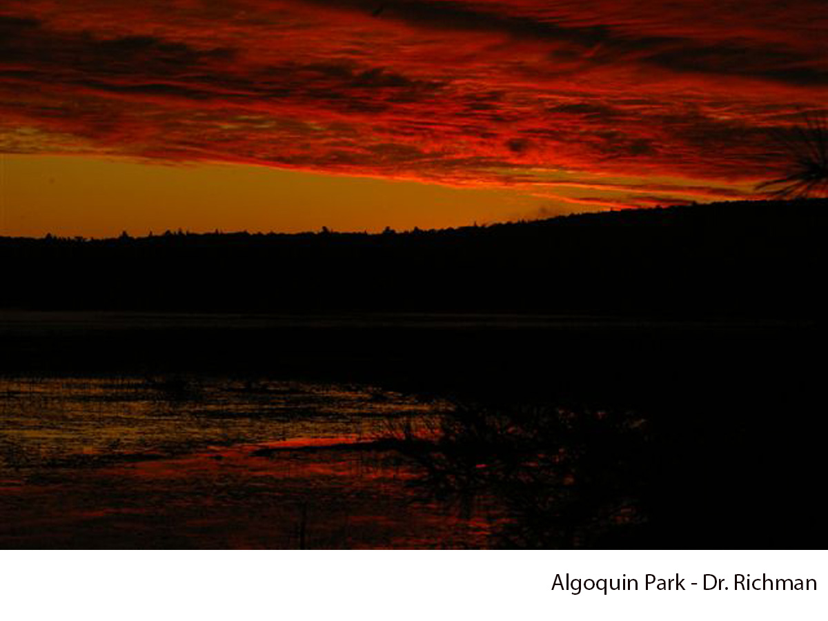 dr. richman's photography