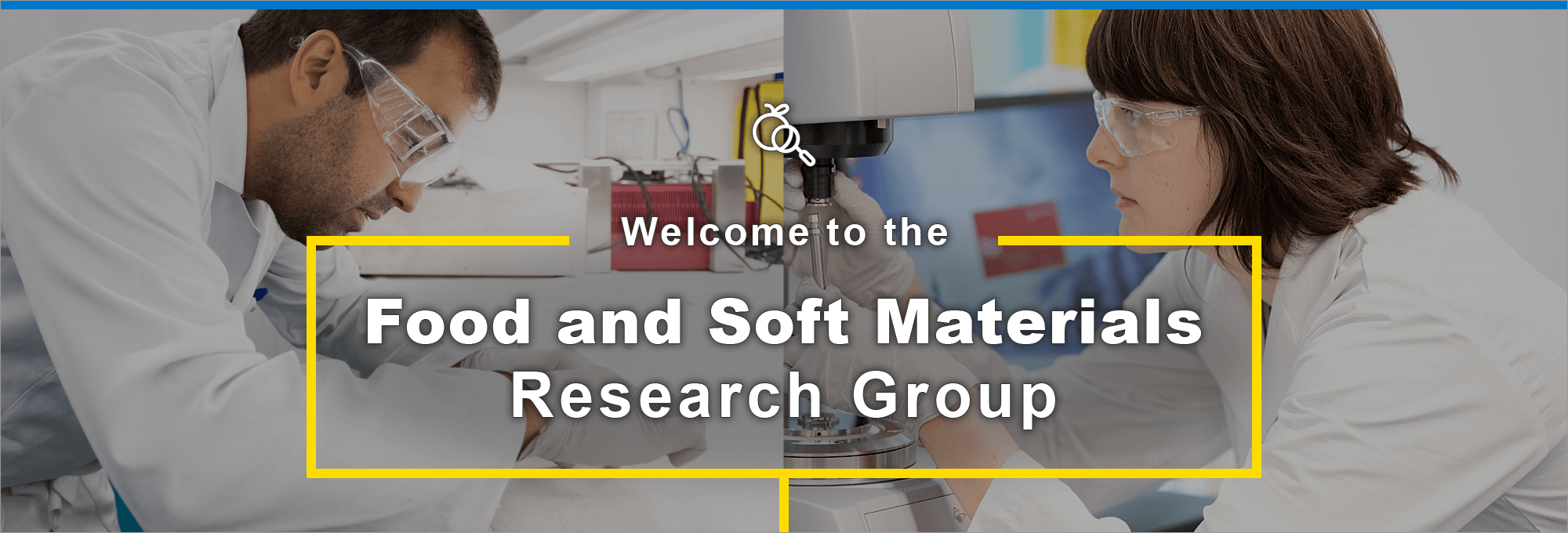 Welcome to the Food and Soft Materials Reseach Group.