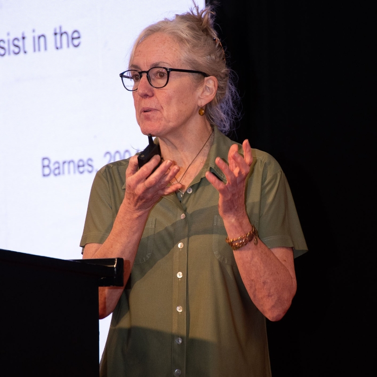 Dr. Herlihy presenting at the International Association of Refugee and Forced Migration Judges on Nov 20, 2025, Nairobi, Kenya