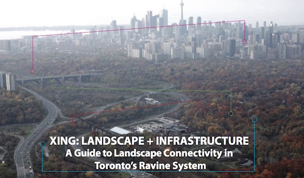 A landscape connectivity plan for Toronto