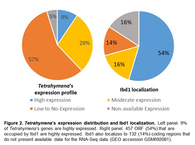 Tetrahymena's expression distribution and Ibd1 localization pie charts.