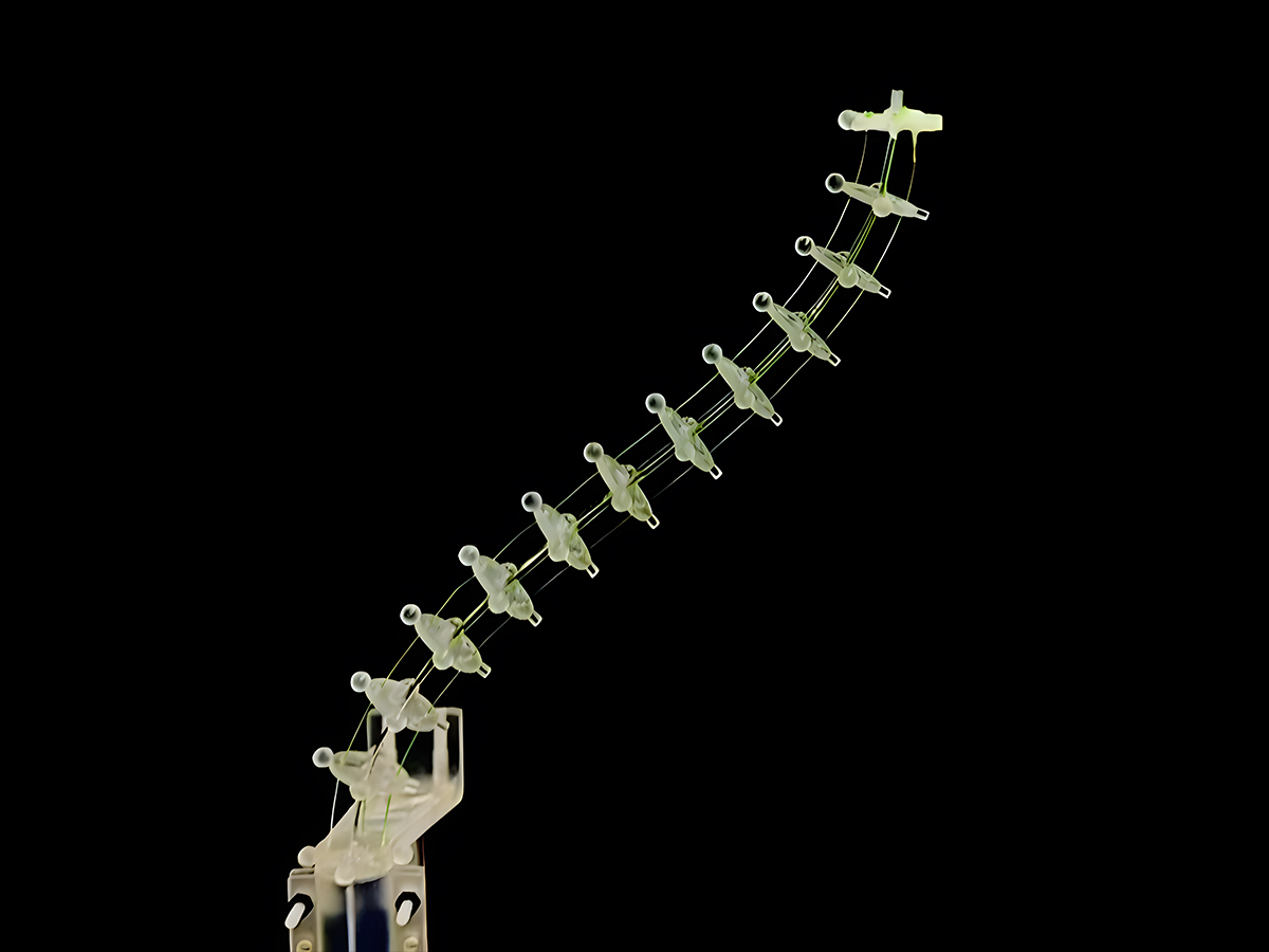 Continuum robot prototype