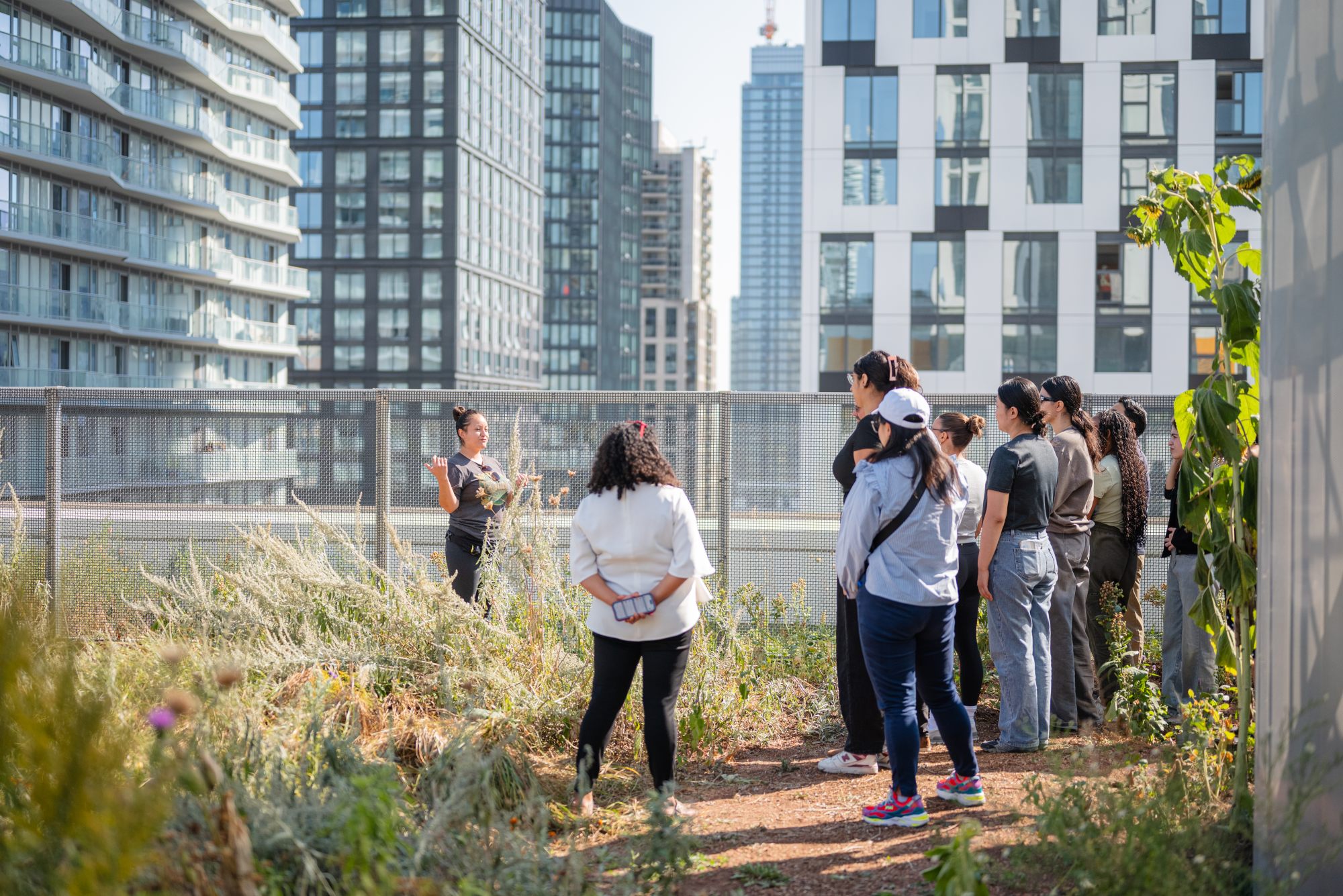 Group of students watching a speaker talk on the rooftop garden