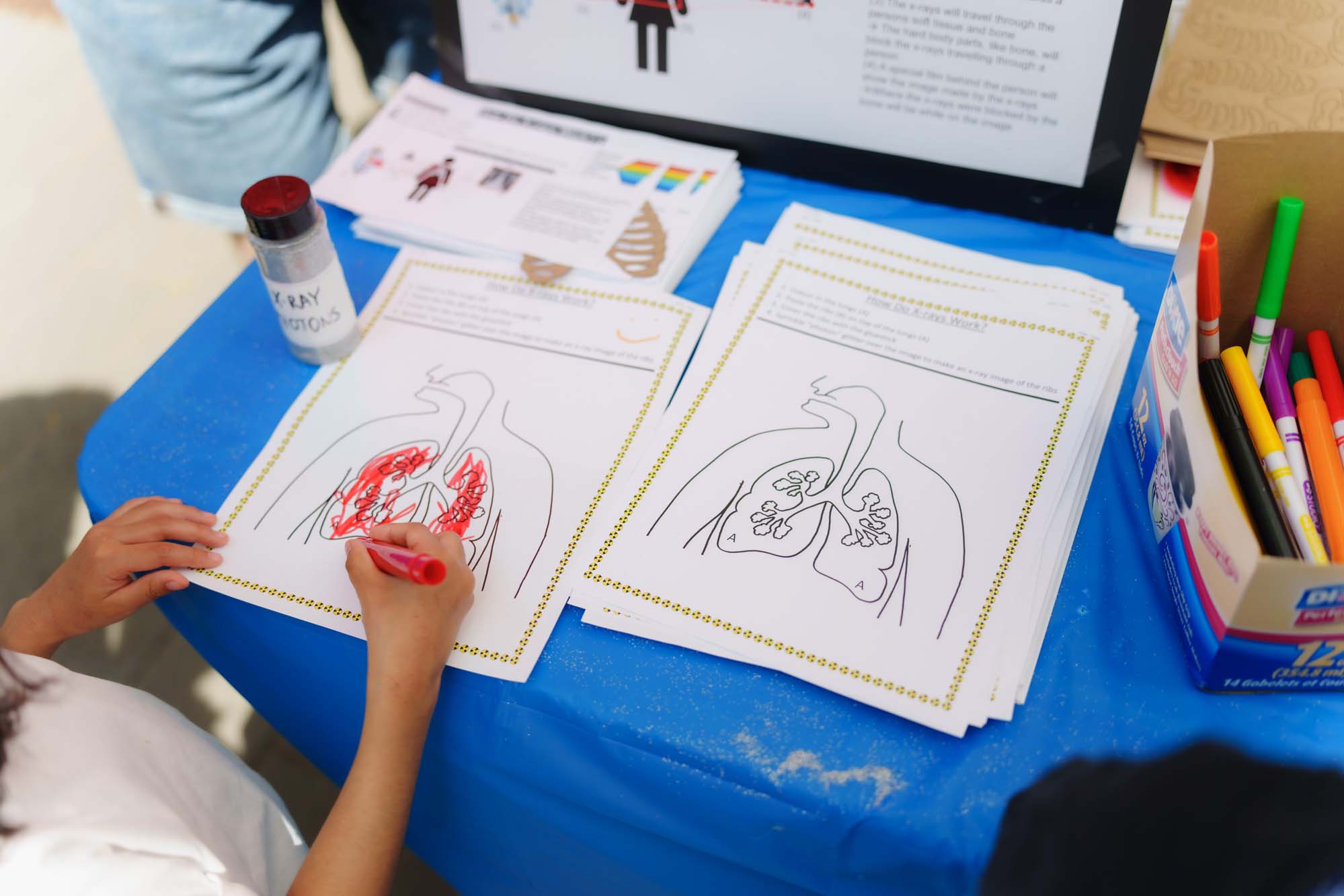 A child colouring the lung outlined on an activity worksheet with a red marker.
