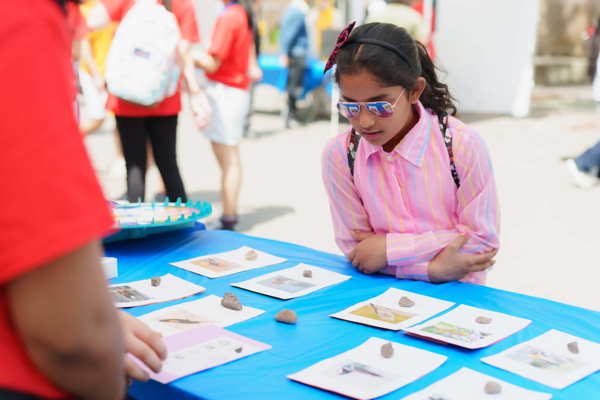 A child looking at the information about a bird at the Let's Talk Science booth.