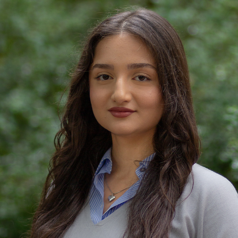 Headshot of Arghavan Pourhashemirahimi with long, wavy brown hair, smiling with lips closed, wearing blue shirt and grey sweater, with greenery in the background